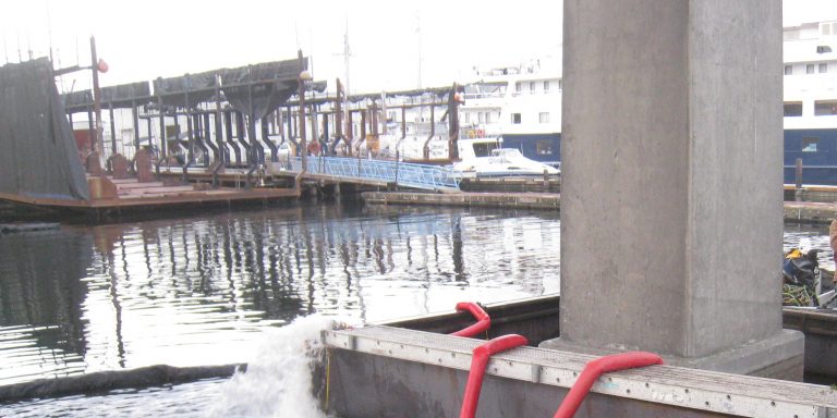 Image of bridge column and cofferdam after fish removal. Water is flowing from large hoses over the cofferdam back into the lake.