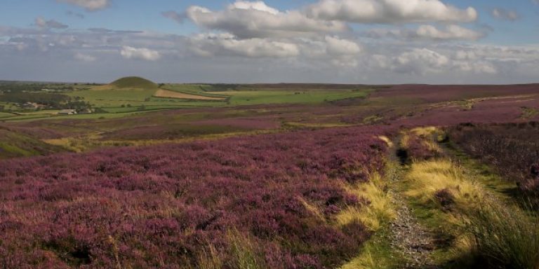 Picture of England's Yorkshire Moors. 